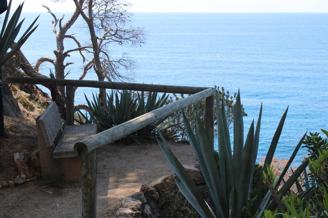 Apartamentos Cala Llevado Tossa de Mar Extérieur photo