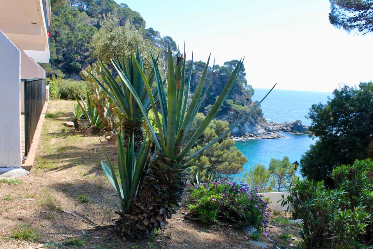 Apartamentos Cala Llevado Tossa de Mar Extérieur photo