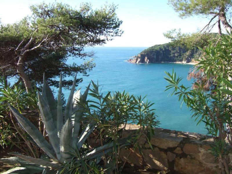 Apartamentos Cala Llevado Tossa de Mar Extérieur photo