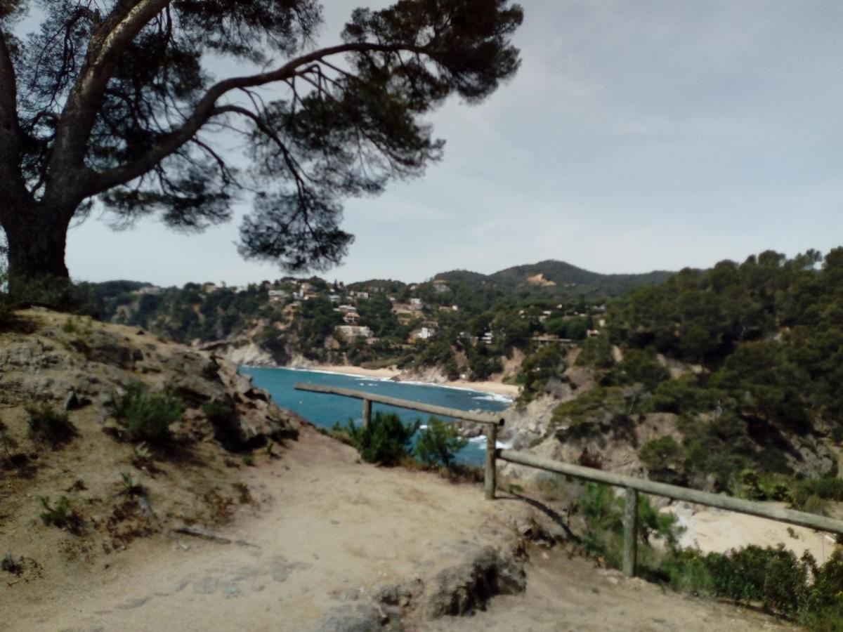 Apartamentos Cala Llevado Tossa de Mar Extérieur photo